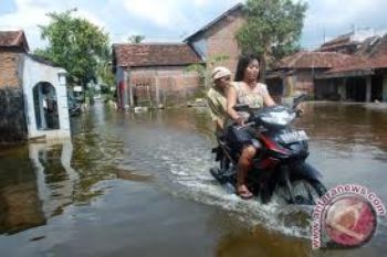 Banjir Rendam Puluhan Rumah di Kudus