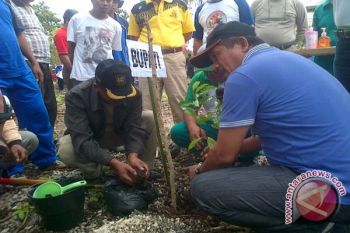 Laju Kerusakan Hutan Menurun Tajam