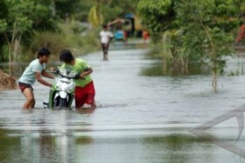 Ratusan Rumah di Batanghari Masih Terendam Air