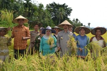 Surplus beras untuk ketahanan pangan nasional