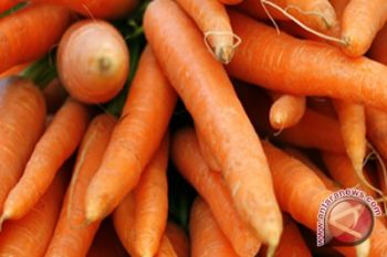 Mahasiswa UNY manfaatkan wortel sebagai pengawet bakso
