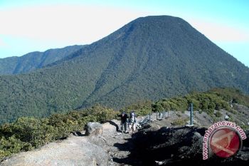 Berwisata alam murah di Gunung Pangrango 