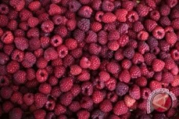 Aroma Rasberi Dapat Bantu Melangsingkan Tubuh