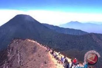 Wisata Murah di Gunung Pangrango