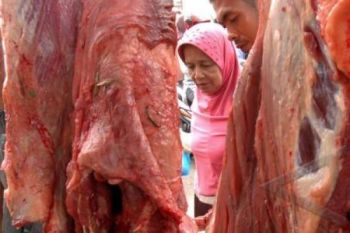 Siak Kekurangan 2.382 Ton Daging Sapi