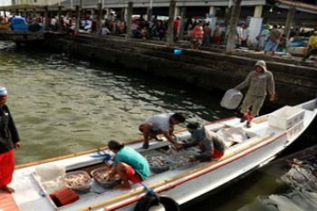 TANGKAPAN IKAN KURANG