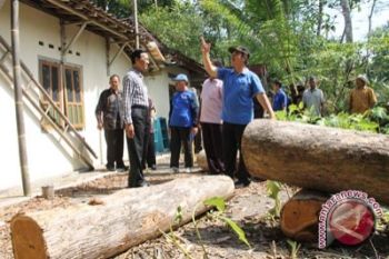 Sultan minta BPBD bentuk "crisis center" bencana 