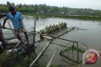 Pemerintah DIY mengecek wilayah perbatasan 