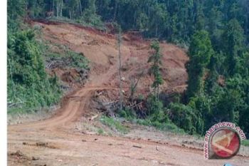 Bupati Konawe Utara Diminta Kembalikan IUP Antam
