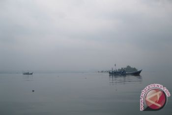 Kenapa "Red Tide" Merebak ? Polisi Periksa Saksi