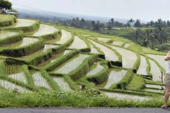 PROTEKSI SAWAH DAN SUBAK