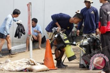 BNPB: Korban Tewas Banjir Jakarta 15 Orang