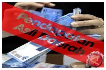 SKPD Pulang Pisau Belum Maksimal Gali PAD