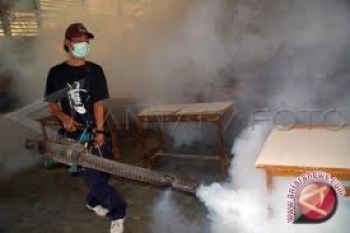 Yogyakarta mulai tingkatkan kewaspadaan penularan demam berdarah