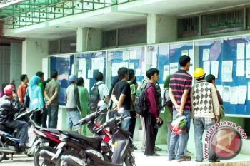 Kotawaringin Timur Jadi Tujuan Pencari Kerja 