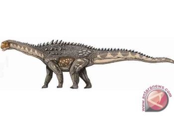  Kelompok dinosaurus terbesar ternyata berotak kecil