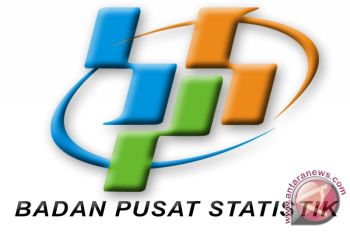 BPS: Sensus ekonomi akan bidik bisnis online