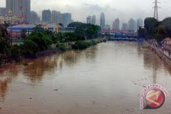BNBP pastikan semua sungai ke Jakarta normal 