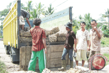 Pemkab Sukamara Diminta Perhatikan Nasib Petani Karet