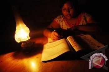 Jaringan Tertimpa Pohon Pasokan Listrik Sampit Terganggu