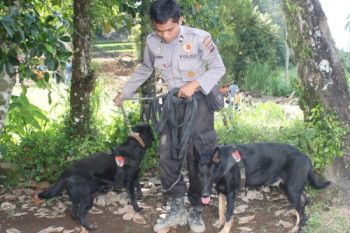 Anjing Pelacak Bantu Penemuan Korban Longsor Agam