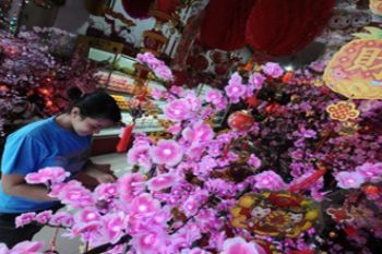 POHON MEI HWA