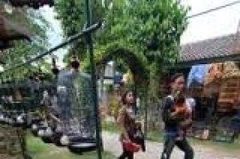 Pasty terus kembangkan fasilitas bagi pengunjung 