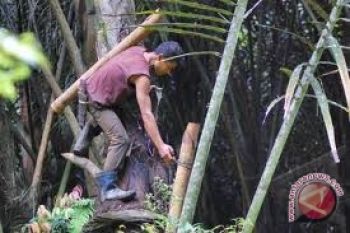 Minsel programkan pengolahan cap tikus jadi ethanol