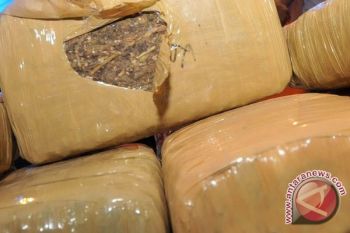  polisi Langkat amankan 23 kilogram ganja