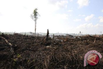 LIPI-UPR Aplikasikan Teknologi Pengubah Air Gambut 