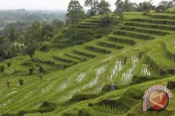 Unud amati kecenderungan peningkatan kunjungan wisata subak 