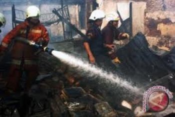 Penyebab Kebakaran Pabrik Kayu Diselidiki
