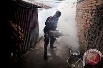 Dinkes Lakukan Pengasapan Daerah Terserang DBD