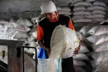 Harga Beras Fluktuatif