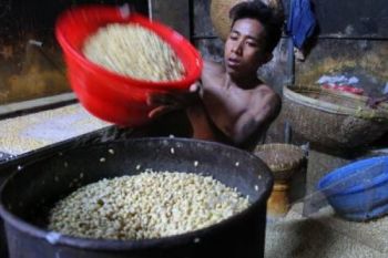 Stok Kedelai Cukup