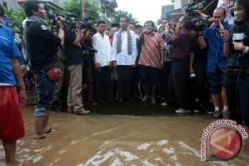 Pakar Pertanyakan Peran Ahok Tangani Banjir
