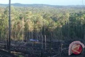Perhutani Gandeng 1.909 Desa Kelola Hutan