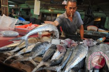 Harga ikan tenggiri naik 