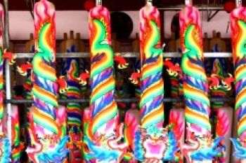 Budhi Bhakti Batam Siapkan Ribuan Gaharu Raksasa               