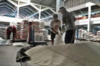 Panen Raya, Harga Beras di Semarang Berangsur Turun