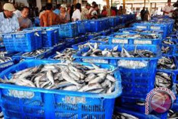 Permudah Izin Investasi Perikanan, Kementerian KP Sinkronisasi Kebijakan