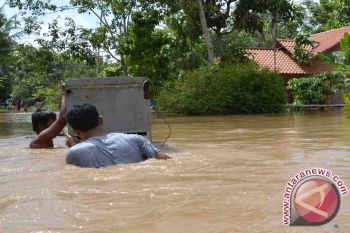 Puluhan Rumah Warga Lampung Selatan Tergenang 