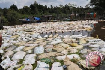 Polsek Dusun Utara Tangkap Pencuri Getah Karet 
