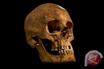  Peneliti: kerangka Raja Richard III ditemukan di lahan parkir