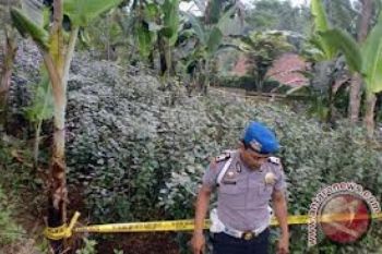 BNN Beri Penyuluhan Terkait Tanaman Khat