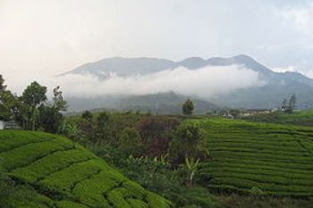 Gempa UMMY Minta Pemerintah Awasi Pengelolaan Pendakian