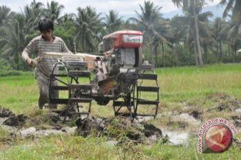 Petani Kotawaringin Timur Kesulitan Peroleh BBM Subsidi