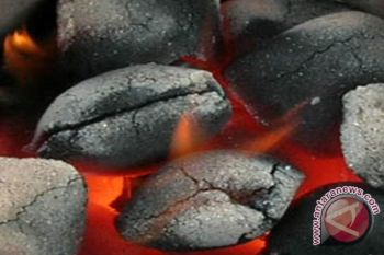 Kabupaten Kapuas Diharapkan Mengunakan Briket Batubara 