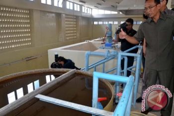 PDAM Tirta Musi tak perlu tawarkan saham