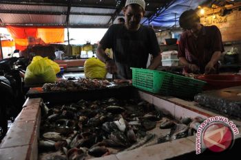 Harga ikan gabus di Palembang alami penurunan 